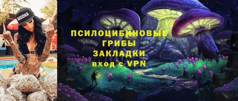 Галлюциногенные грибы MAGIC MUSHROOMS  Боготол 